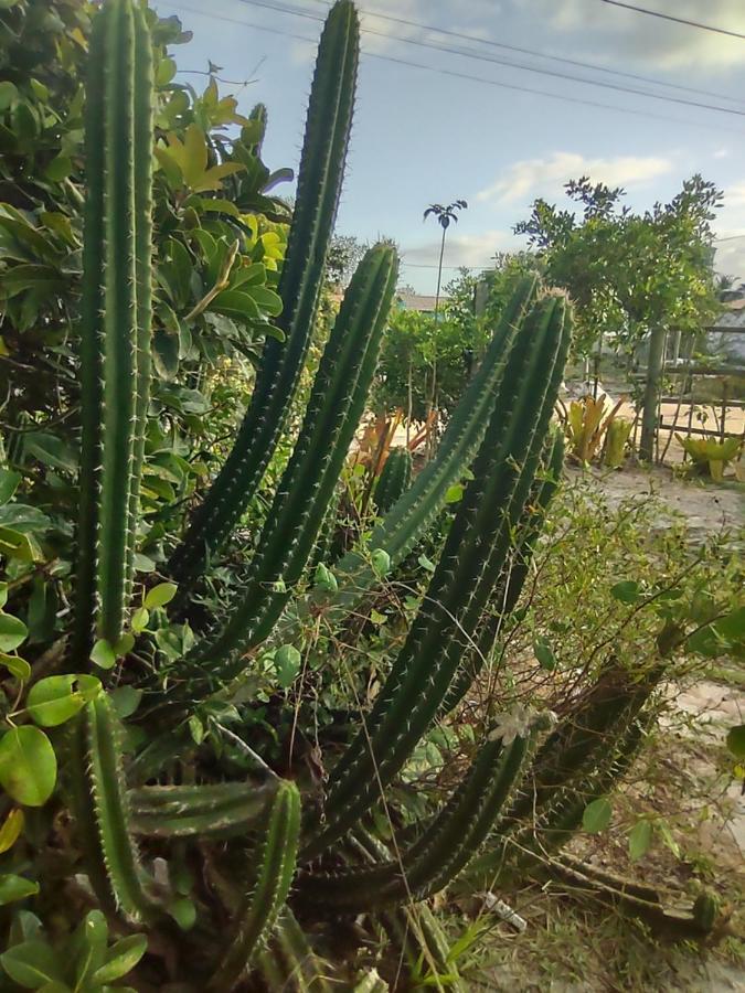 Pousada Quintal Dos Sonhos Xando Caraíva Eksteriør bilde